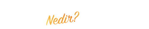 PraAkademi Nedir PraAkademi Nedir