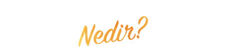 PraMarkt Nedir PraMarkt Nedir